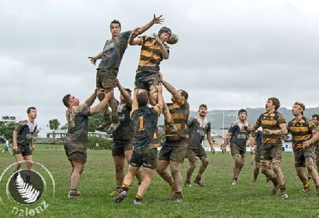 Rugby player numbers continue to grow